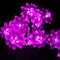 Morado 20 Luces Energía Solar