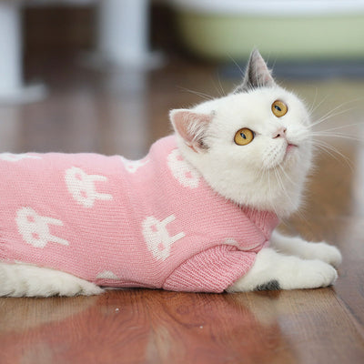 Suéter Gato Azul Británico para Otoño e Invierno - Image 6