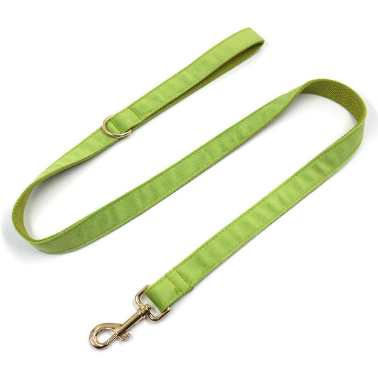 Collar para Perro Velvet Verde Matcha con Hebilla Dorada Premium - Image 9