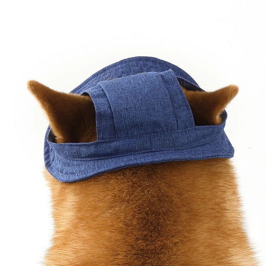 Gorra de Verano Ajustable para Perros Pequeños y Medianos con Agujeros para Orejas - Image 6