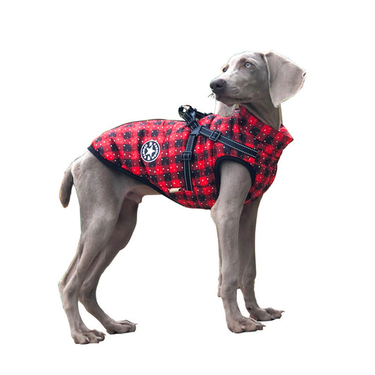Chaleco Reflectante Navideño para Perros - Abrigo Impermeable Invierno - Image 8