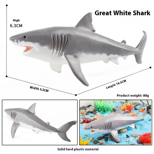 Juego Educativo de Animales Marinos Realistas para Niños - Image 47
