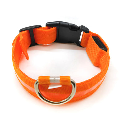 Collar Luminoso Antiextravío para Perros con Placa de Identificación - Image 5