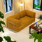 Gengibre Amarelo 200 Cm