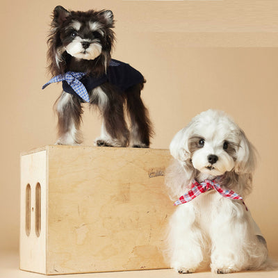 Chaleco Marinero sin Mangas para Mascotas - Schnauzer, Bichón, Yorkshire y Salchicha - Image 5