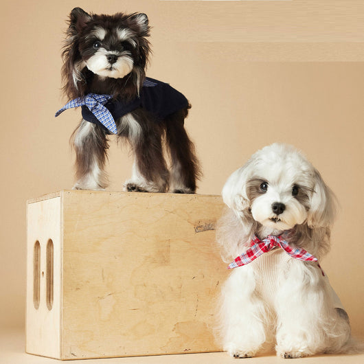 Chaleco Marinero sin Mangas para Mascotas - Schnauzer, Bichón, Yorkshire y Salchicha - Image 5
