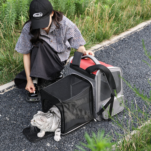 Mochila Transportadora Expandible para Mascotas - Gran Capacidad - Image 3