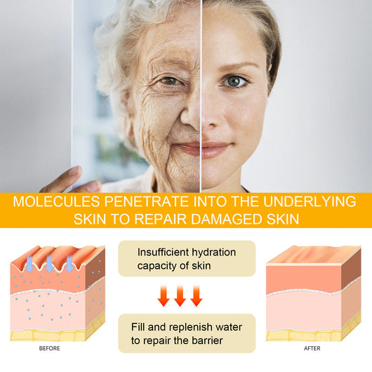 Suero Facial Hidratante con Ginseng para el Contorno de Ojos - Image 4