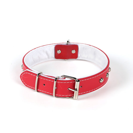 Collar de Cuero para Mascotas con Remaches Cromados Acero Inoxidable - Image 8