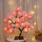 Rosa Rosa 24 Luces En Negro USB
