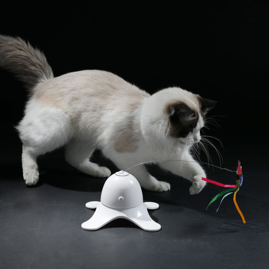 White electric cat toy with a rotating butterfly on a wire, featuring a colorful red, blue, and yellow butterfly.