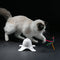 Juguete Interactivo para Gatos con Mariposa Giratoria Automática