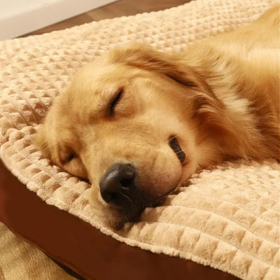 Cama Térmica para Perros con Manta Fleece Desmontable - Colchón Cómodo para Mascotas Pequeñas, Medianas y Grandes - Image 3