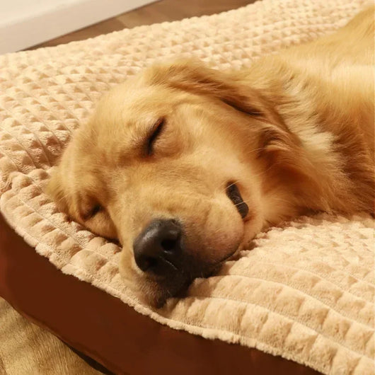 Cama Térmica para Perros con Manta Fleece Desmontable - Colchón Cómodo para Mascotas Pequeñas, Medianas y Grandes - Image 3