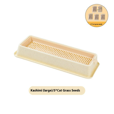 Kit de Cultivo Hidropónico sin Sustrato para Gatos - Image 6