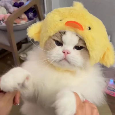 Gorro Felino de Moda: Expresa tu Personalidad y Creatividad - Image 3