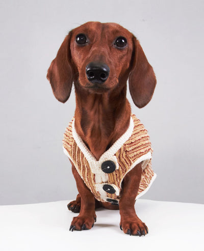 Sudadera Hoodie a Rayas para Perros Miniatura Yorkshire y Bichon - Image 4