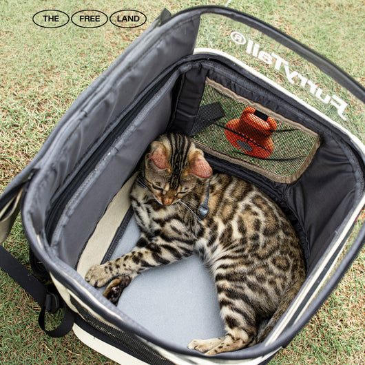 Mochila Transportadora para Gatos de Gran Capacidad y Diseño Respirable - Image 5