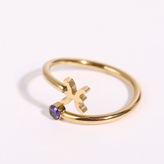 Anillo de Acero Inoxidable con Piedra de Nacimiento del Zodiaco - Image 23