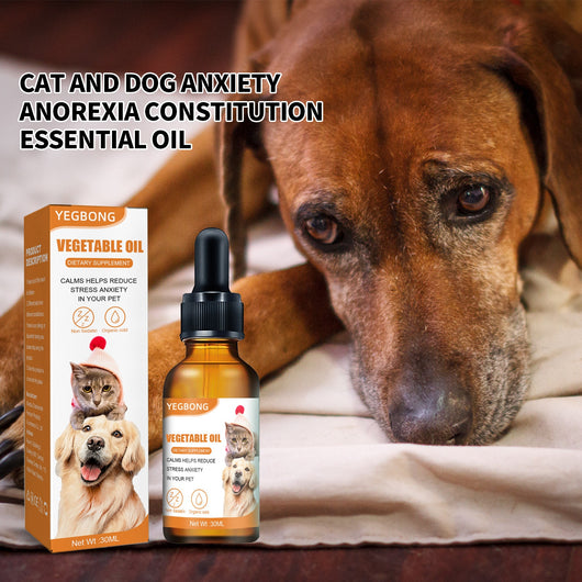 Suplemento Nutricional para Gatos y Perros - Fórmula Completa para Fitness y Bienestar - Image 16