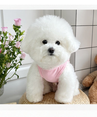 Chaleco Waffle Transpirable para Perros y Gatos - Primavera Verano - Image 9