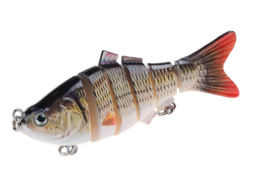 Peces Carnada Premium - Image 38