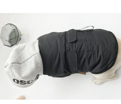 Ropa Térmica para Gatos y Perros Pequeños - Diseño Adorable de Dos Patas - Image 16