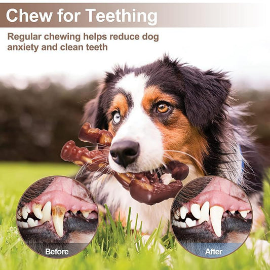 Juguete Masticable de Nylon con Sabor a Carne para Perros - Image 2