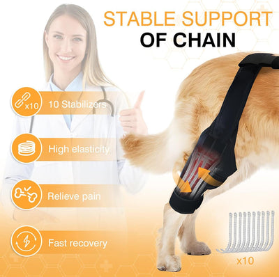 Protector de Rodilla para Perros - Soporte Articular y Cinturón de Protección - Image 5