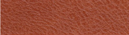 Tela Elástica Impresa con Palmas - Cuero PU Semiduro con PVC - Image 83