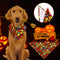 Pañoletas Halloween para Perros - Accesorios Festivos