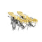 Golden Flying Dragon Eye