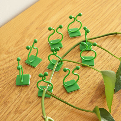 Clip Adhesivo para Plantas Trepadoras - Fijación sin Perforaciones - Image 8
