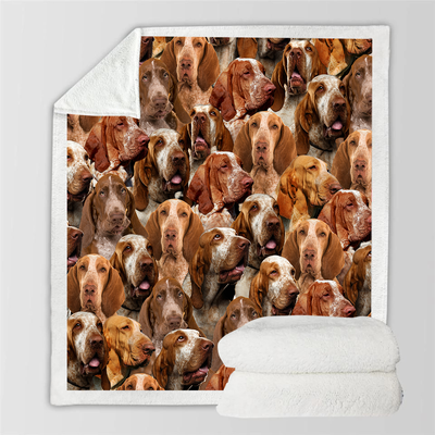 Manta Flanela Estampada para Perros de Moda - Image 51