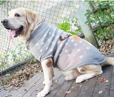 Suéter Cálido de Algodón para Perros - Abrigo Otoño e Invierno - Image 8