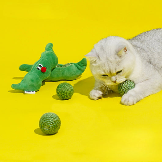 Juguetes Interactivos para Gatos - Pelotas de Sisal y Bastón Teaser