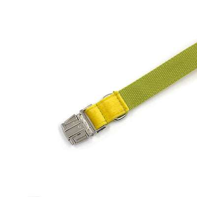 Collar de Terciopelo Amarillo y Verde para Perro - Image 5