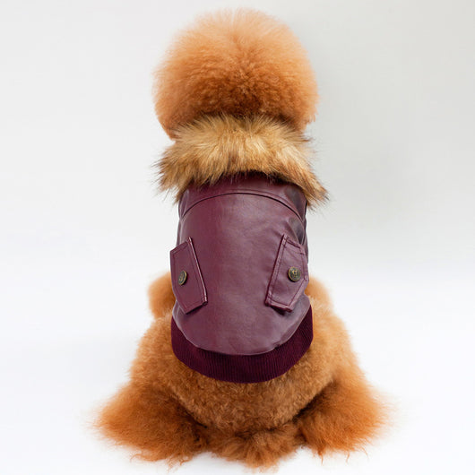 Abrigo Cálido con Cuello de Pelaje para Mascotas - Image 4
