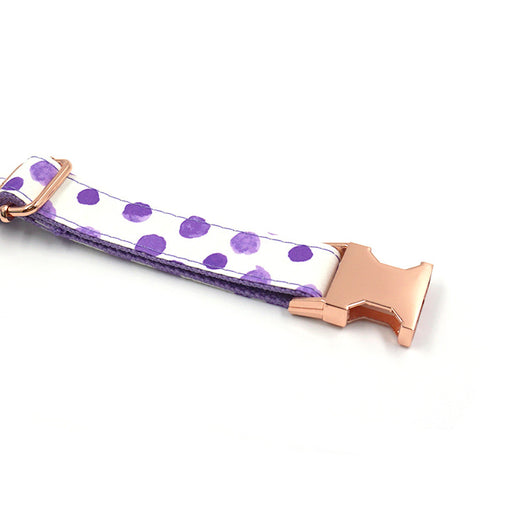 Collar para Mascotas INS Wind Púrpura con Lunares - Image 2