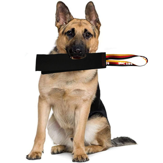 German Shepherd holding a black leather dog bite rag with a red, yellow, and black striped handle.