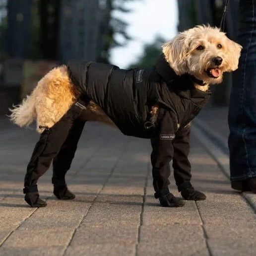 Protectores de Patas Impermeables para Perros - Zapatos Antideslizantes