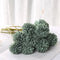 Verde One