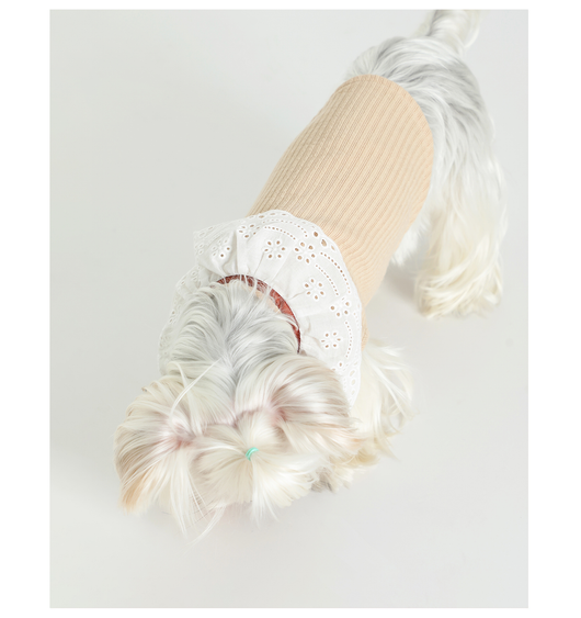 Chaleco Floral con Moño para Mascotas - Ropa Elegante y Cómoda - Image 7