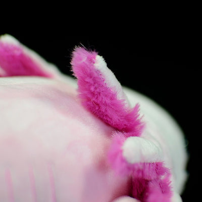 Muñeco de Peluche Dinosaurio Hexagonal Suave y Adorable - Image 4