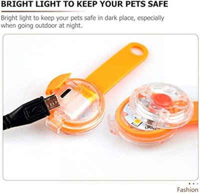 Luz Colgante para Perro - Accesorio Luminoso de Seguridad para Paseos Nocturnos - Image 14