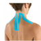 Shoulder And Neck Blank 12 Piezas