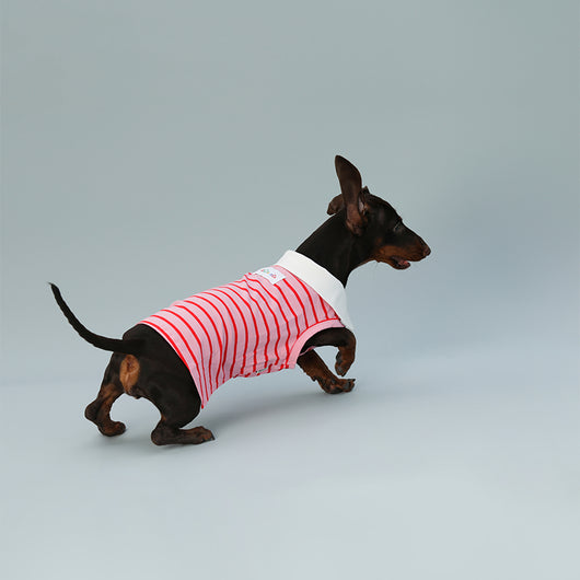 Chaleco sin Mangas para Perro Pequeño Rayas Rojo - Image 5
