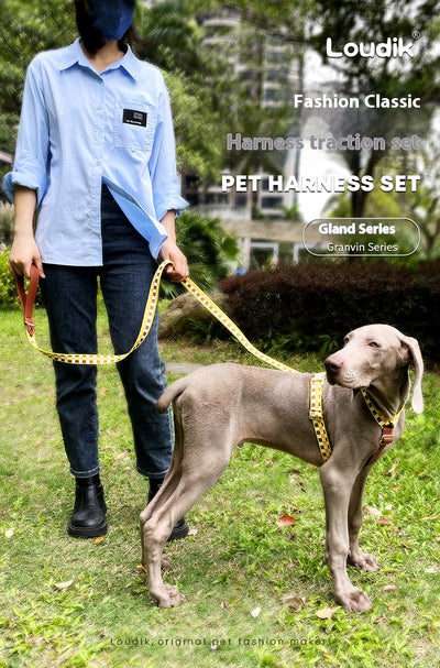 Arnés en I para Mascotas con Cuerda de Tracción - Image 23