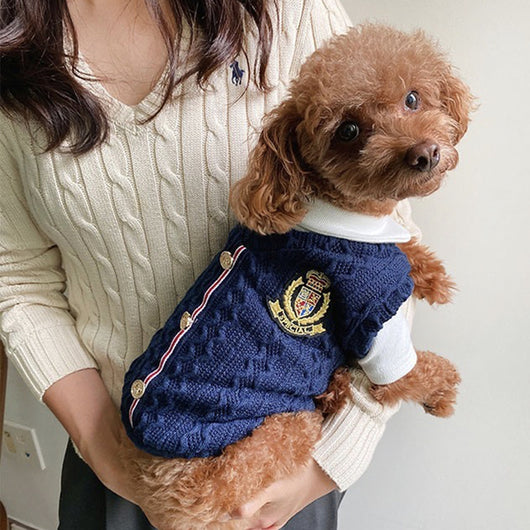 Conjunto de Ropa para Perros Pequeños Schnauzer y Bichón - Set de 2 Piezas