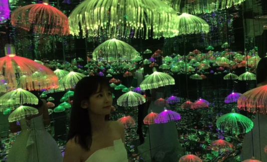 Lámpara LED Medusa Luminosa - Decoración Exterior Resistente al Agua